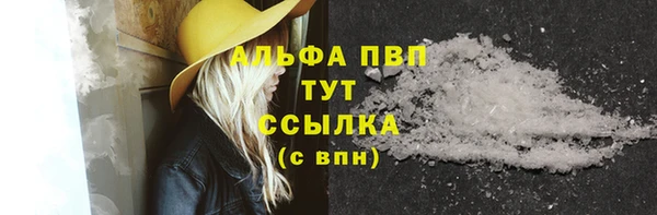 прущие грибы Богородицк