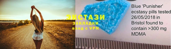 прущие грибы Богородицк