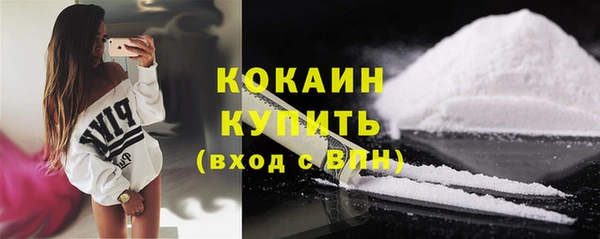 прущие грибы Богородицк