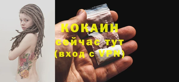 прущие грибы Богородицк
