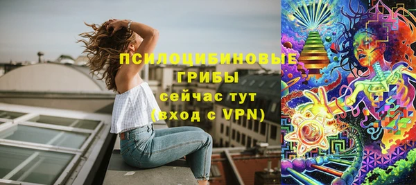 прущие грибы Богородицк