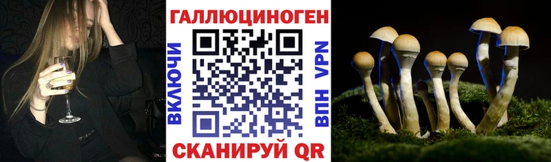 Псилоцибиновые грибы мицелий  mega рабочий сайт  Ильский 
